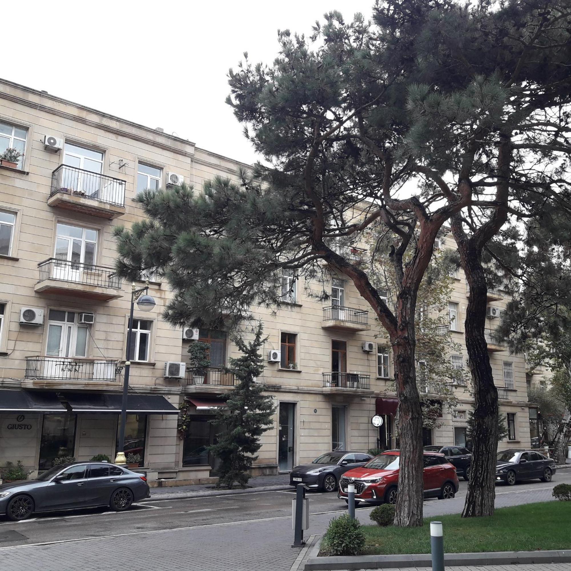 Apartment Niyazi 5 Baky Esterno foto